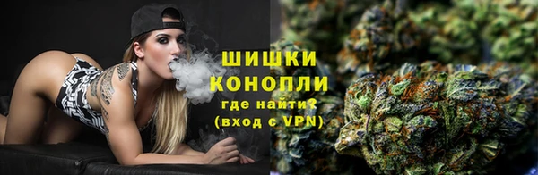 мдпв Ельня