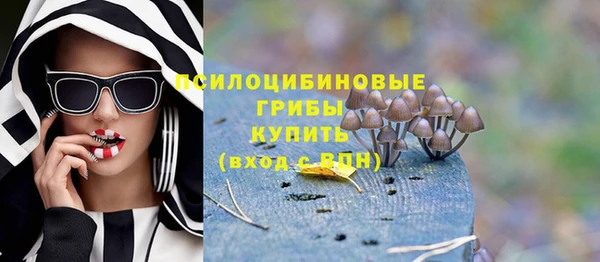 мдпв Ельня