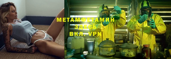мдпв Ельня