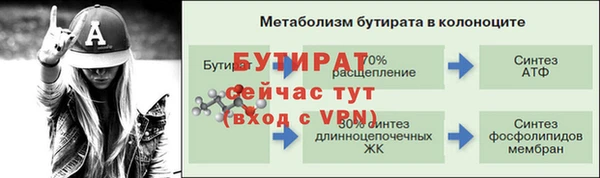 мдпв Ельня