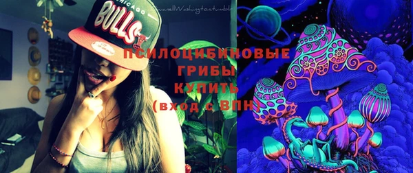 ешки Елизово