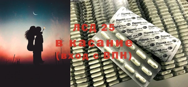 мдпв Ельня