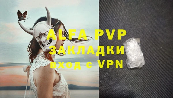 мдпв Ельня