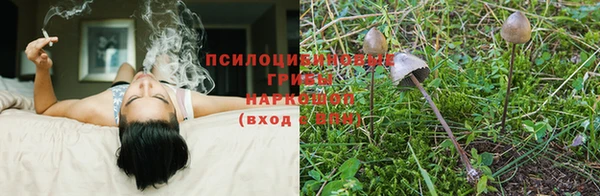 мдпв Ельня