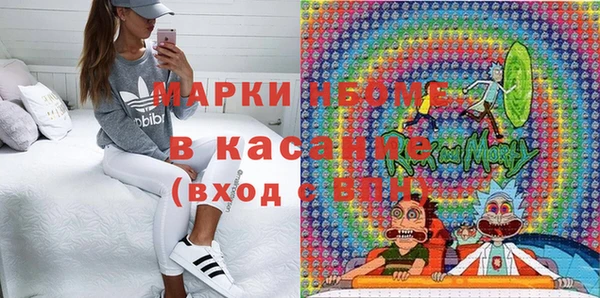 мдпв Ельня
