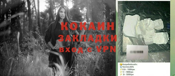 мдпв Ельня