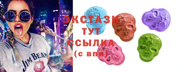 мдпв Ельня