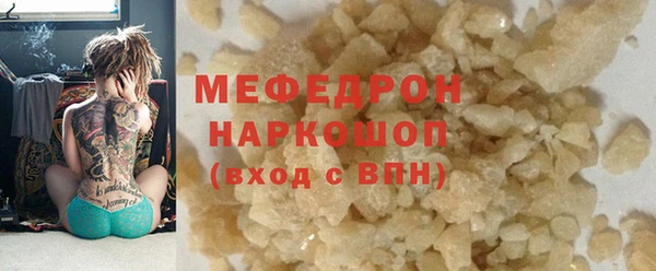 мдпв Ельня